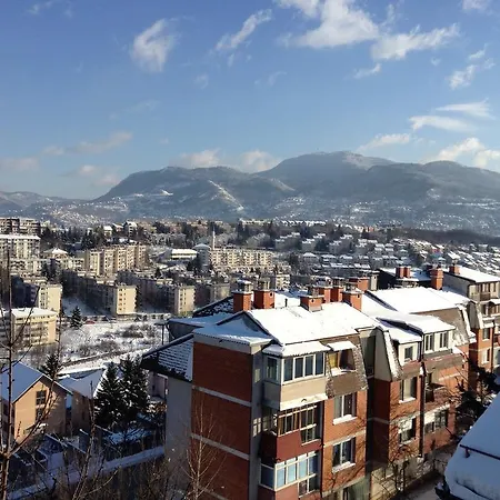 Lajlas Sarajevo