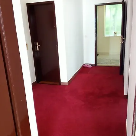Lajlas * Sarajevo